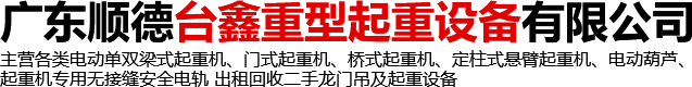 广东顺德台鑫重型起重设备有限公司 